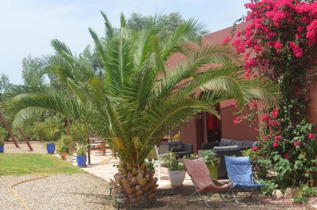 Casa Naima Otel Ida Ougourd Dış mekan fotoğraf